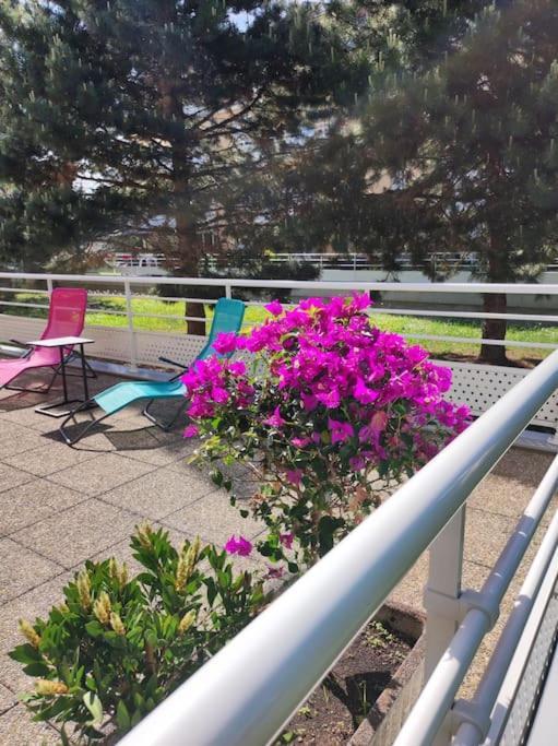 斯特拉斯堡Comme Chez Vous公寓 外观 照片